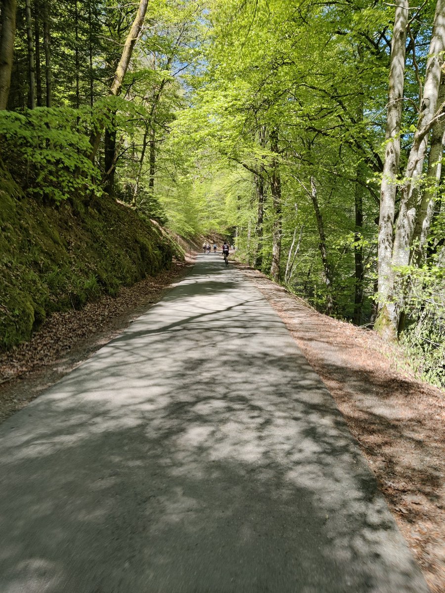 metro67_driver's tweet photo. @PerseusLeGrand Tout à fait. La Roche en Ardenne (entre autres) est un coin superbe. 🇧🇪🇧🇪🇧🇪🇧🇪🥳 https://t.co/6d4g2Srj3W