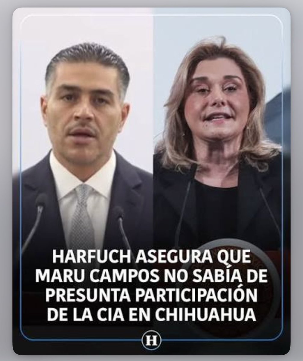 Vanessa (El Sr. Panzón ®) tweet media