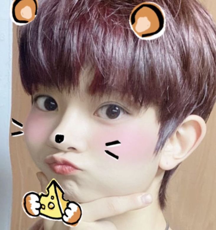 tofii | Enhypen is 7 tweet media