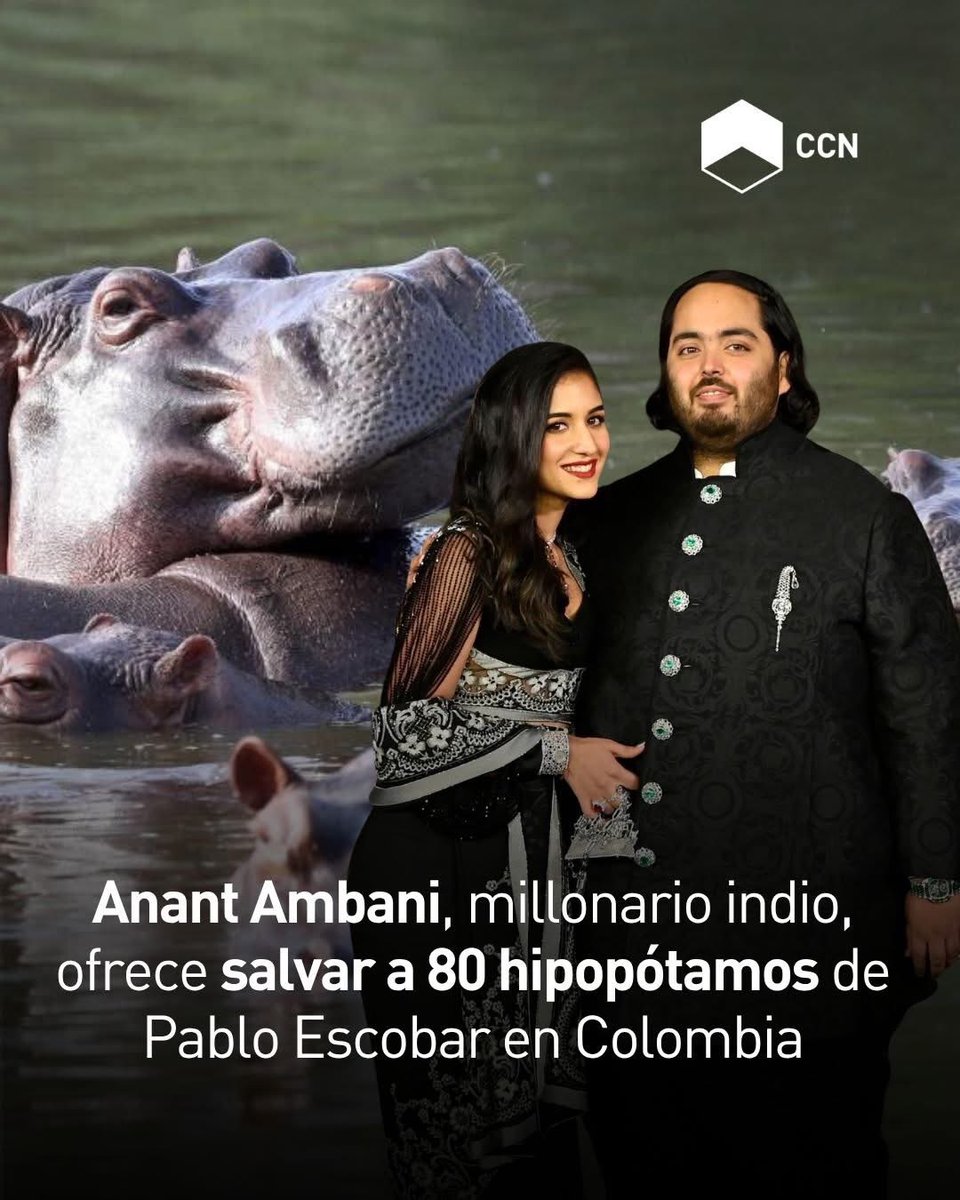 Cultura Colectiva News tweet media