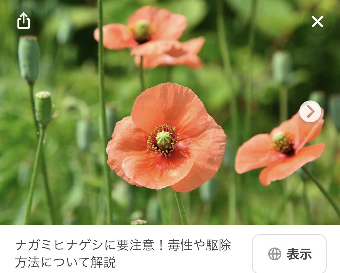 ちゃちゃ tweet media