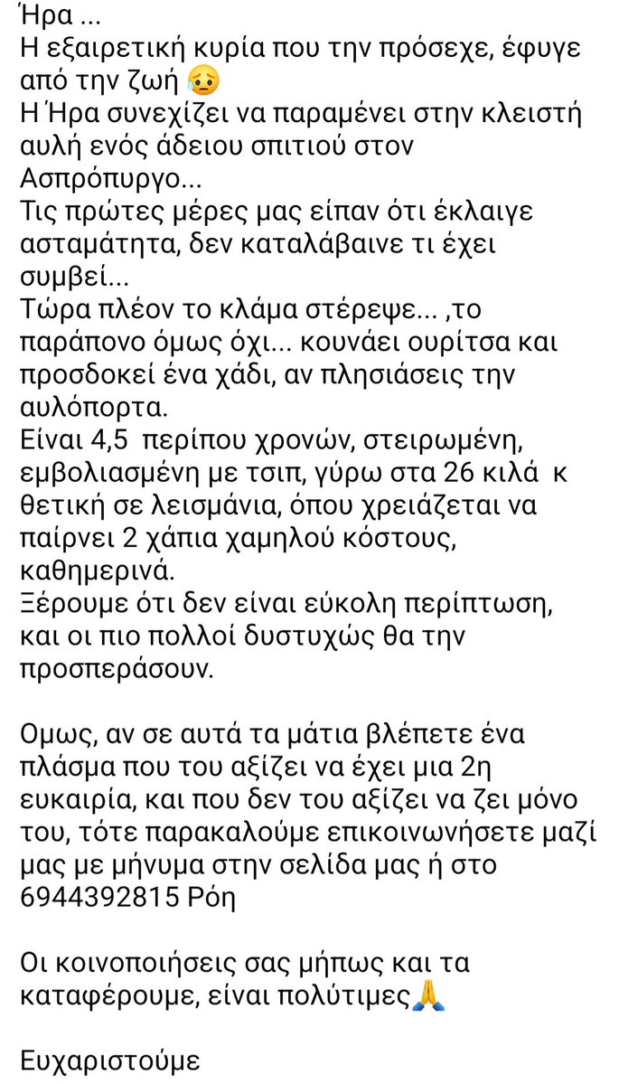 🆘️🆘️🆘️
Ηρα 
Η κυρία που την πρόσεχε έφυγε απο τη ζωή.Η Ηρα εμεινε στην κλειστή αυλή ενος αδειου σπιτιού.Τις πρώτες μέρες έκλαιγε ασταμάτητα δν καταλαβαινε τι είχε συμβεί.Πλεον το κλάμα στέρεψε το παράπονο όμως οχι.Προσδοκει ενα χαδι αν πλησιασεις την αυλοπορτα
👇👇👇