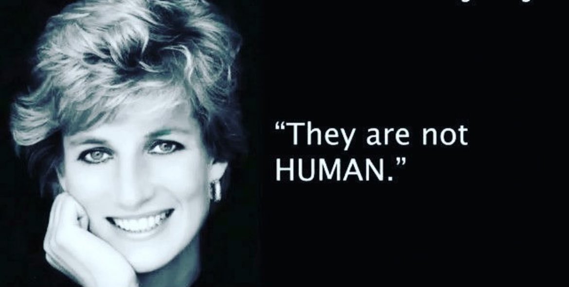 Chaney the Vampire Slayer tweet media