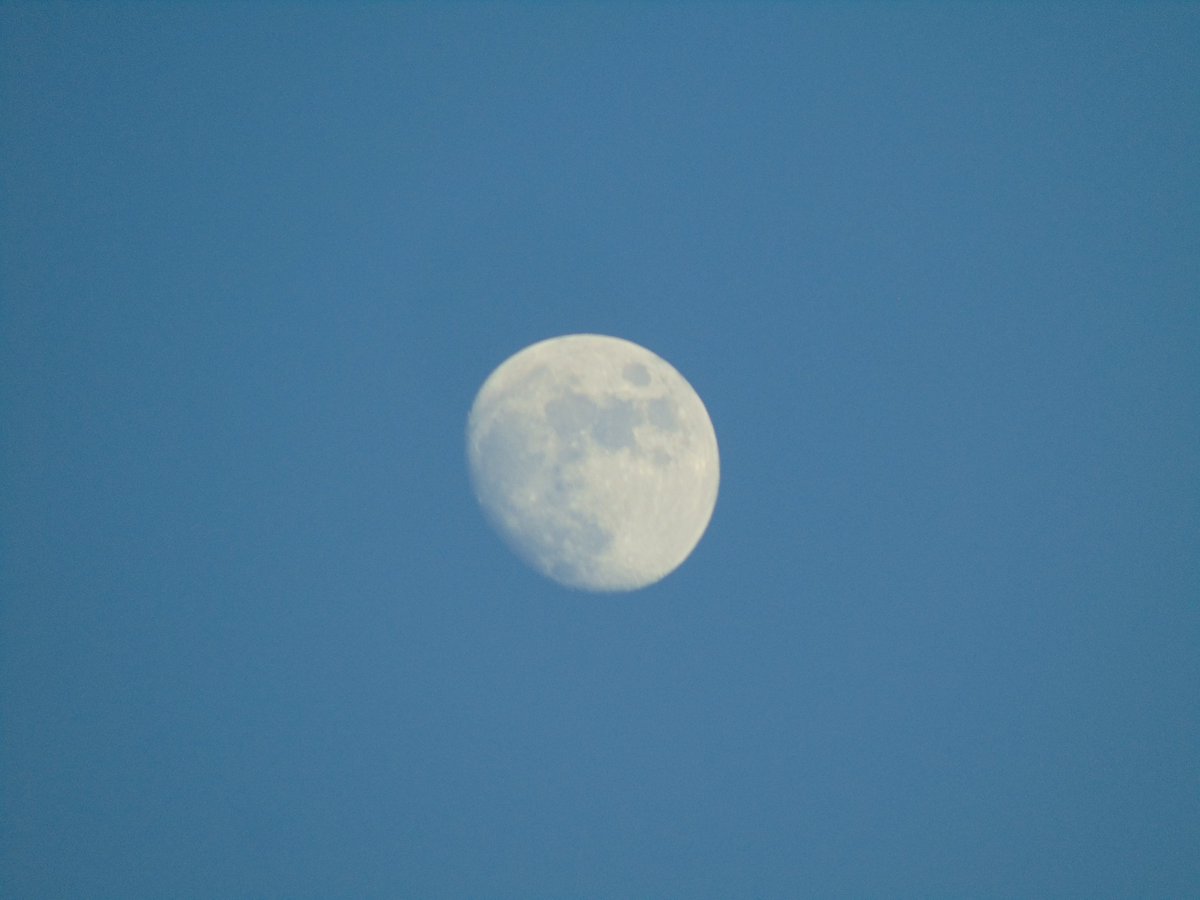 BJul1989's tweet image. Caught the Moon outside (92.0% waxing gibbous)! 

#Moon #MoonPhases #LunarPhases #TheMoon
