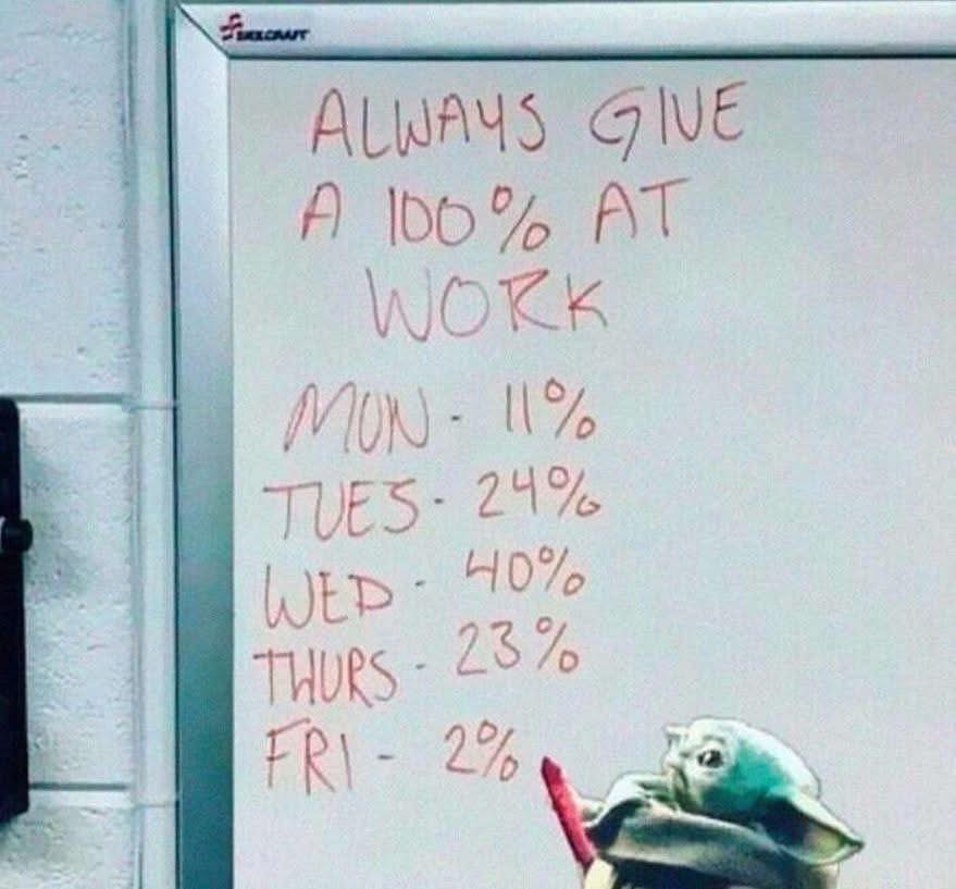 IrenaBuzarewicz's tweet image. 