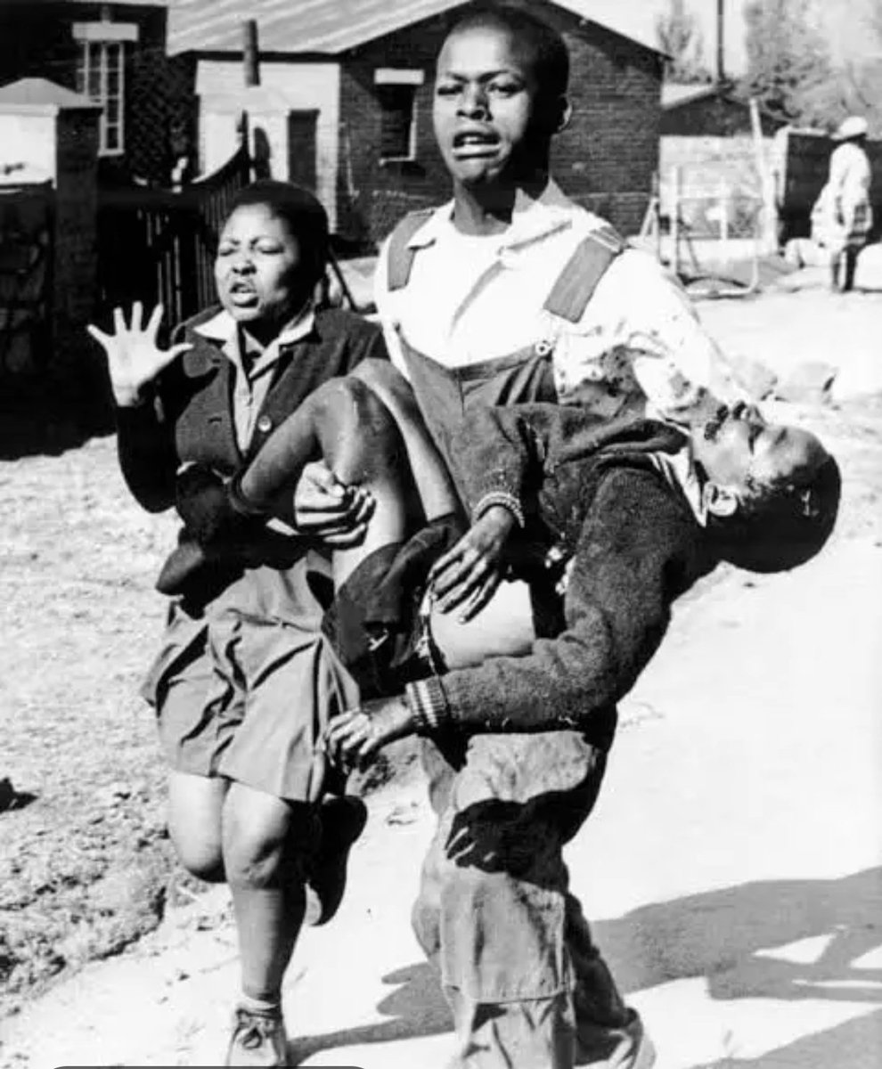 Mr Ofentse M tweet media