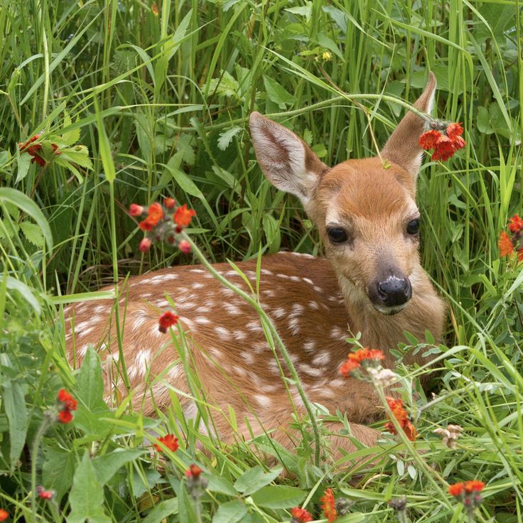 softly magical°🦢♡ tweet media