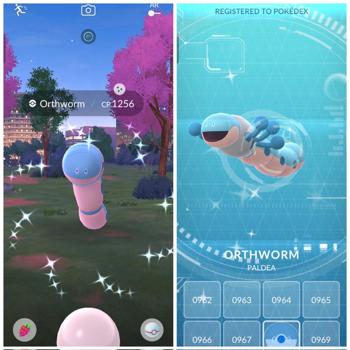 themagiczapdos's tweet image. Let's Go!!! Shiny Orthworm 2nd raid! 💙🪱
#PokemonGo #Orthworm #Shiny #ポケモンGO
