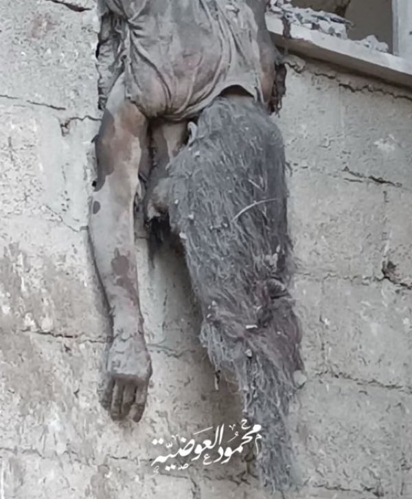 Wesam Afifa وسام عفيفة tweet media