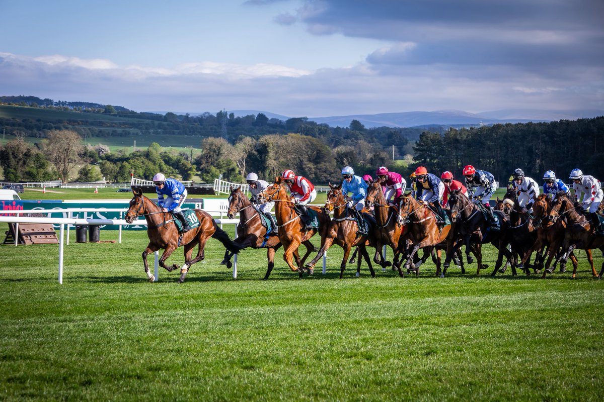 Goffs1866's tweet photo. What a day for the Goffs Defender Bumper 🤩

Congratulations to connections of 4YO ABBEYGLEN, who landed the race on debut for Martin Brassil and Sean &amp; Bernardine Mulryan. 

Sold at last year’s #GoffsArkle by @BallincurrigHse to Grandeville Racing. 

#GoffsDefenderBumper https://t.co/4bFGE09dbz