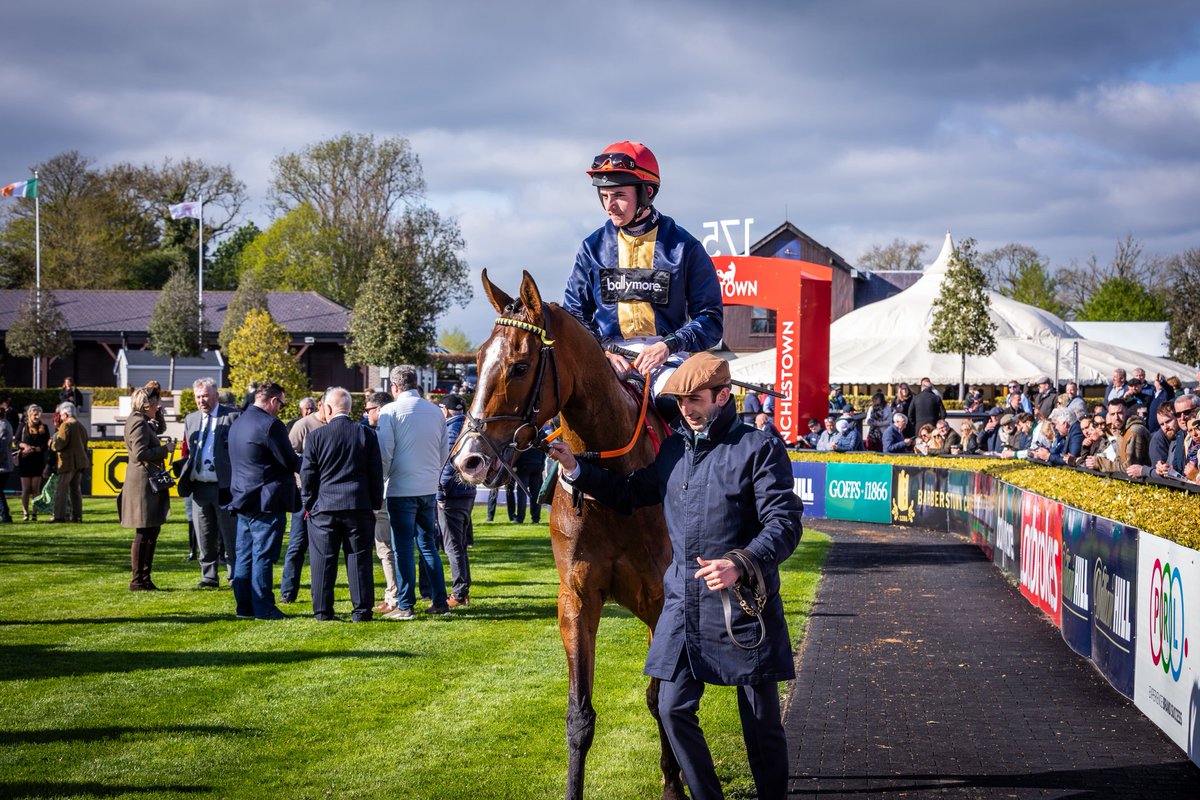 Goffs1866's tweet photo. What a day for the Goffs Defender Bumper 🤩

Congratulations to connections of 4YO ABBEYGLEN, who landed the race on debut for Martin Brassil and Sean &amp; Bernardine Mulryan. 

Sold at last year’s #GoffsArkle by @BallincurrigHse to Grandeville Racing. 

#GoffsDefenderBumper https://t.co/4bFGE09dbz