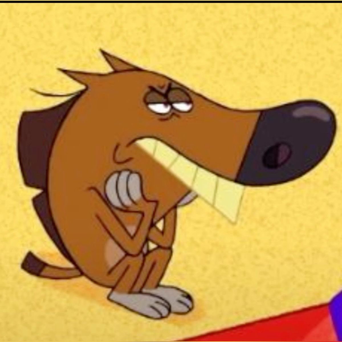 shera&!%! tweet media