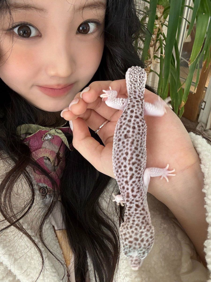 w★nhee tweet media