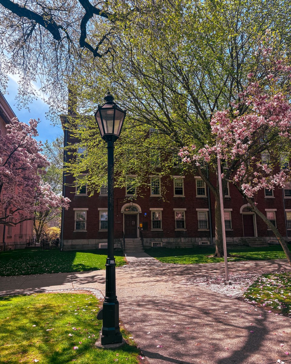 brownu_csp's tweet photo. Spring is in the air here on campus at Brown! 

📸 Briana Ferraioli https://t.co/gmSY04KeaK