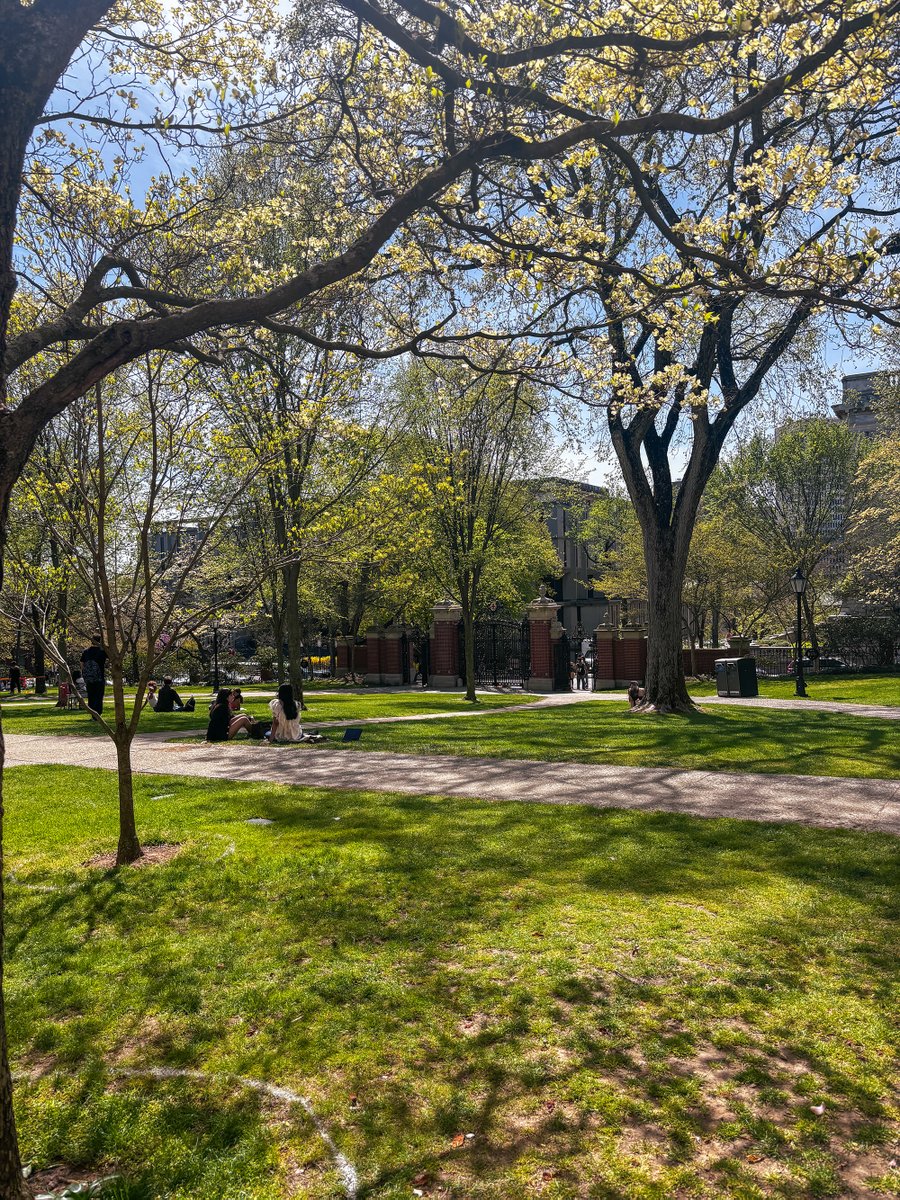 brownu_csp's tweet photo. Spring is in the air here on campus at Brown! 

📸 Briana Ferraioli https://t.co/gmSY04KeaK