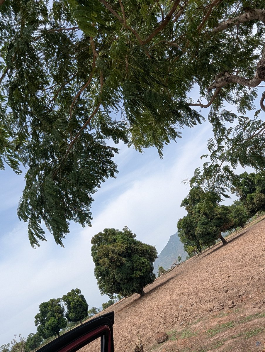 Dija Abubakar tweet media