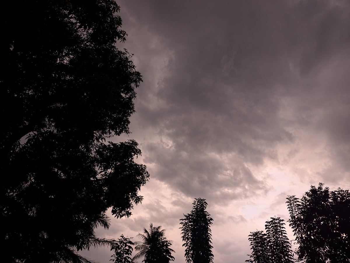 Dija Abubakar tweet media