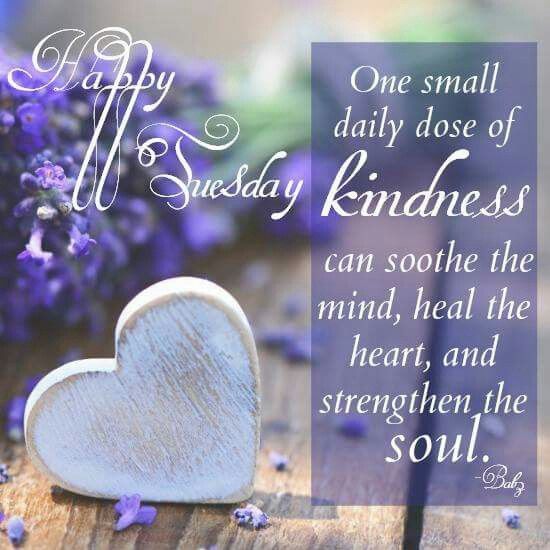 sistervpaul_'s tweet image. #TuesdayThoughts Each and every single day is a blessing. Prayers for those having a rough time.  And may we never forget that #KindnessMatters always. 🙏💙