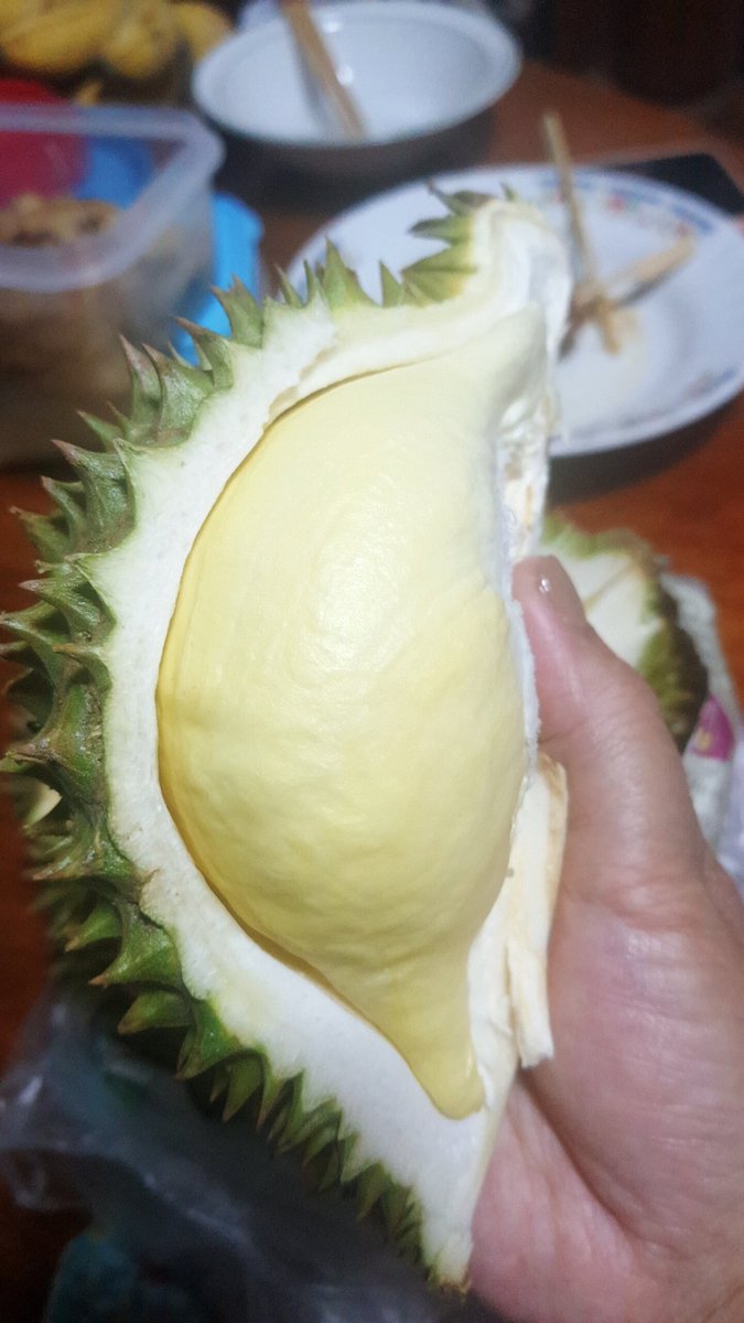 🦂พิจิก🪧😈ลูกรักปีศาจ🦂🦂:พิษน้อยหยิ่งยโส แ🌵🍃 tweet media