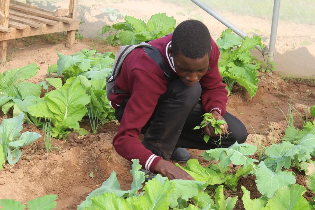 African Education Program (AEP) tweet media