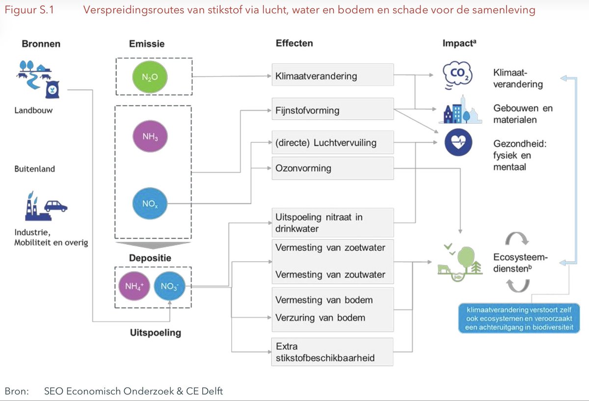 Peter Hoogmoed tweet media