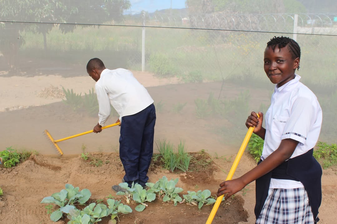 African Education Program (AEP) tweet media