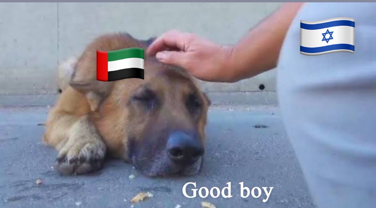 حـ ــرمـ ـه 🇸🇦 tweet media