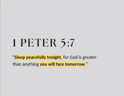 𝖑𝖊r𝖓𝖆𝖗𝖉. tweet media