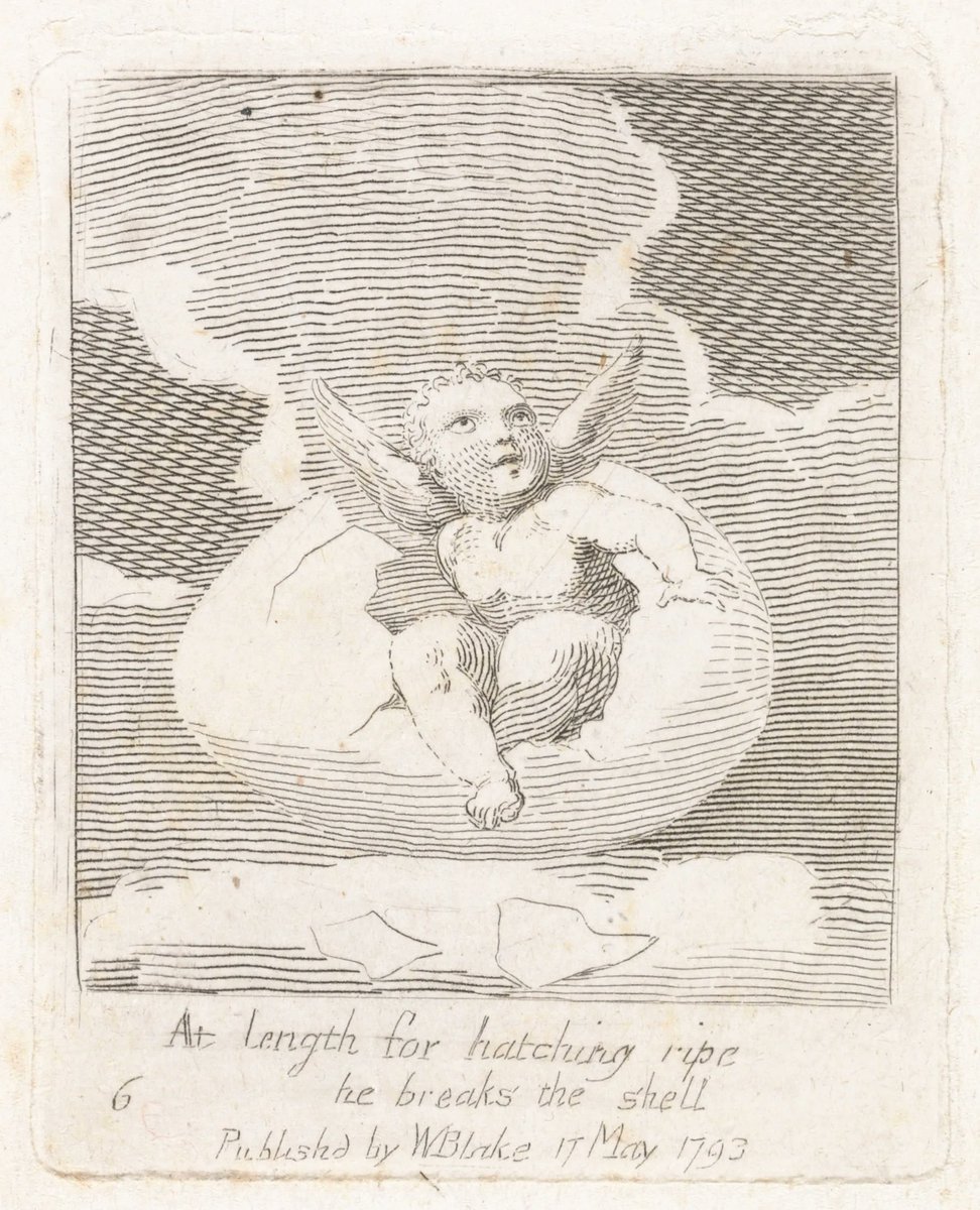 The Public Domain Review tweet media