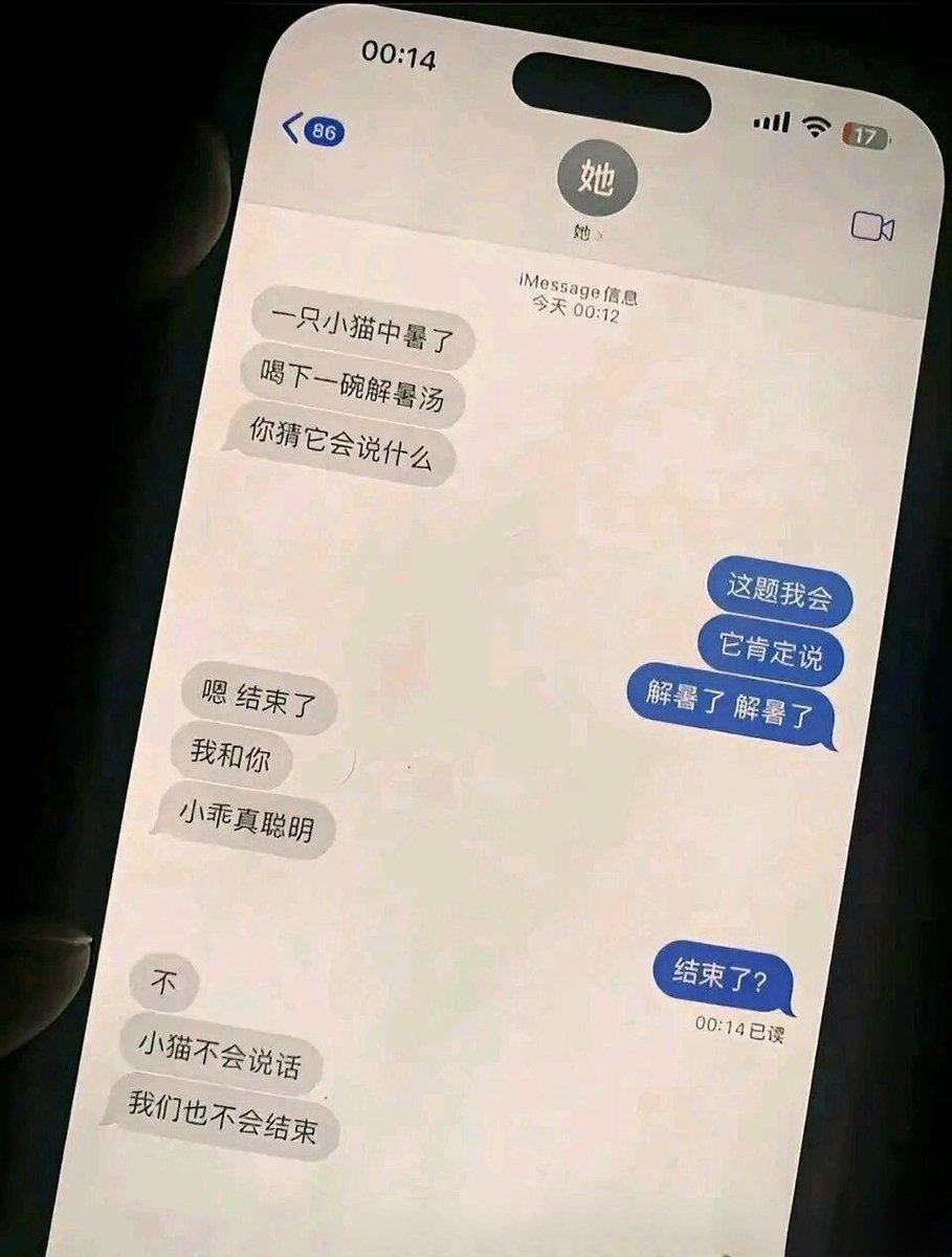 雲鳩 tweet media