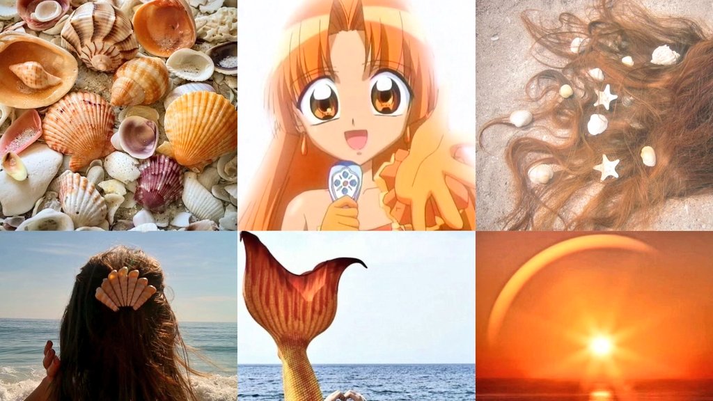 🧡Seira tweet media