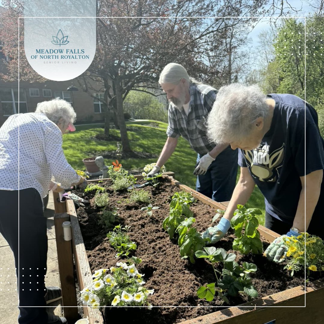 MeadowRoyalton's tweet image. Gardening with Lacy started Friday! 🌿💛 A great way to welcome the season.

#SeniorLiving #Gardening #SpringVibes