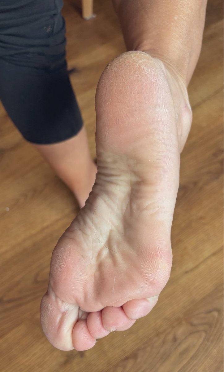 MayaFeet_X's tweet photo. you like it 🤫
@rt_domm @FootParadiseRT @rtfemdom1 @rtfindom @rtfeetslave1 @Millington77877 @Feetcentral13 @FeetToesSoles @FeetToesSoles @FootBeauties @FeetForumArea https://t.co/dZJviFAfWE
