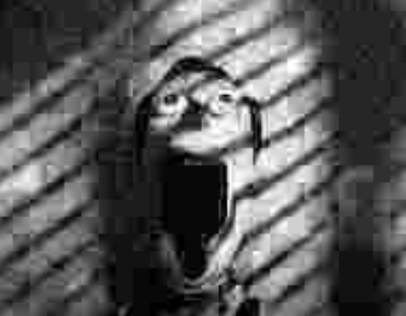 Friend Inside Me tweet media
