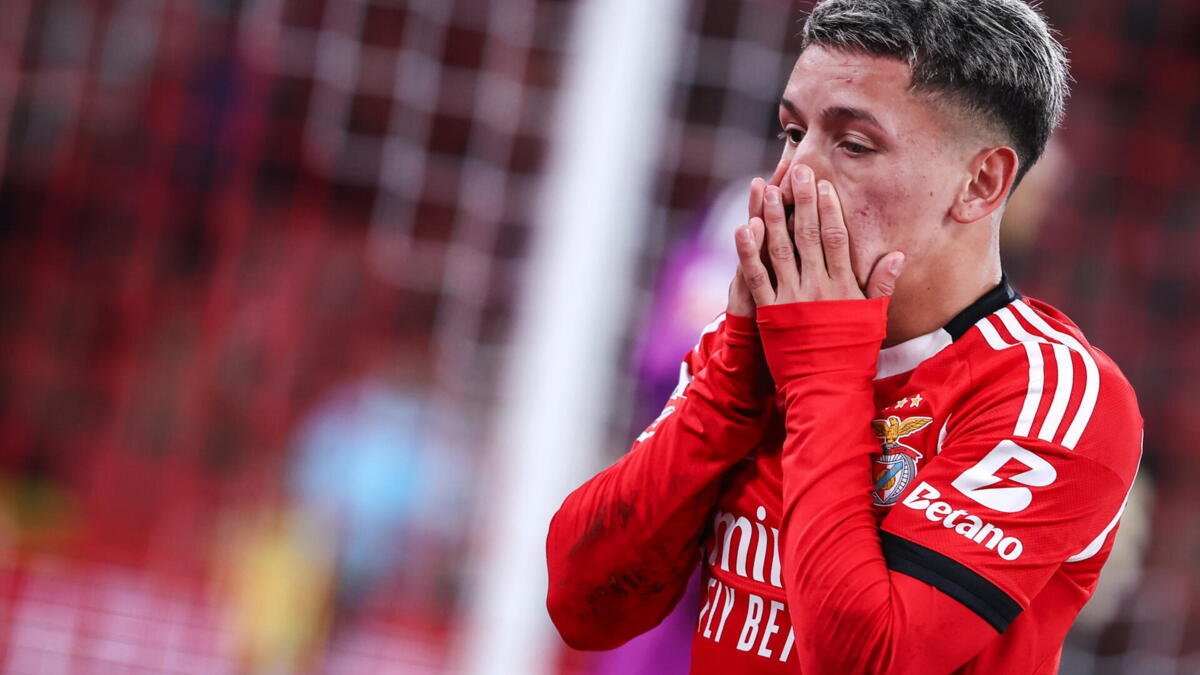 celso gesta tweet media