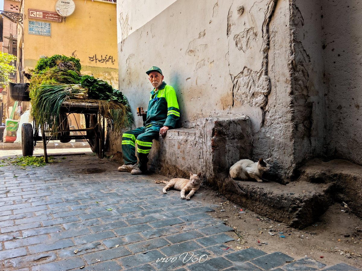 ziko ali tweet media