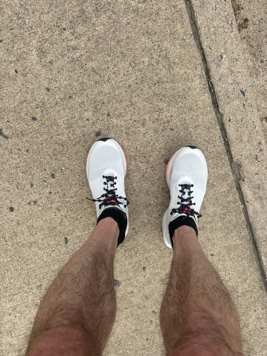 XAVIERJOEYJOE's tweet image. Last run befor @SpartanRace 
@Caterpy_US @Garmin 
#surpyto
#altred 
Hope to see you ballers there