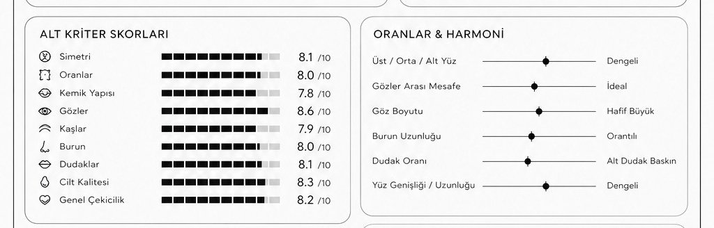 feyza tweet media