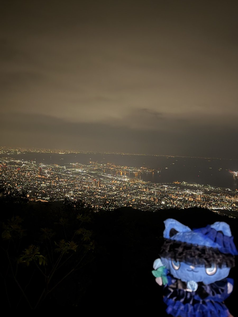 ジビー🥀 tweet media