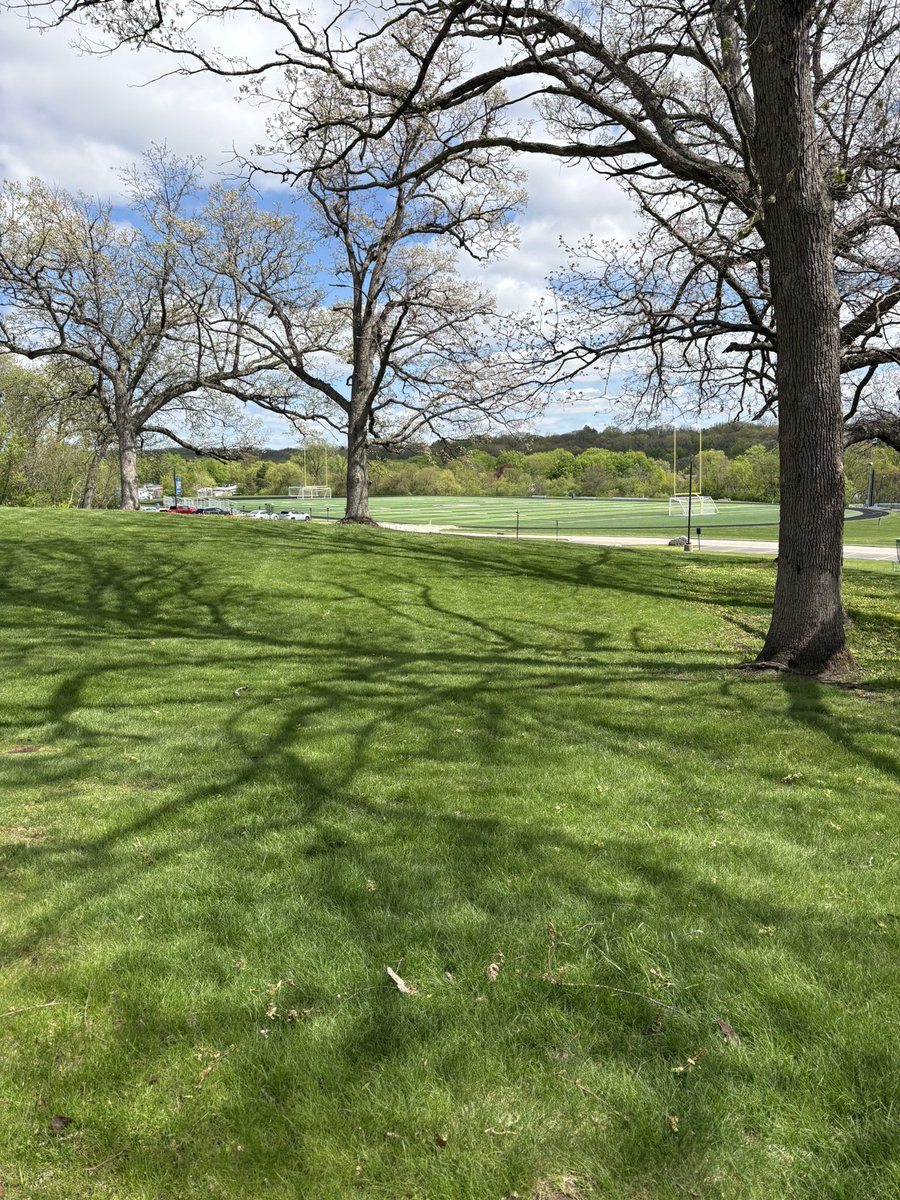 Bryan Payton tweet media