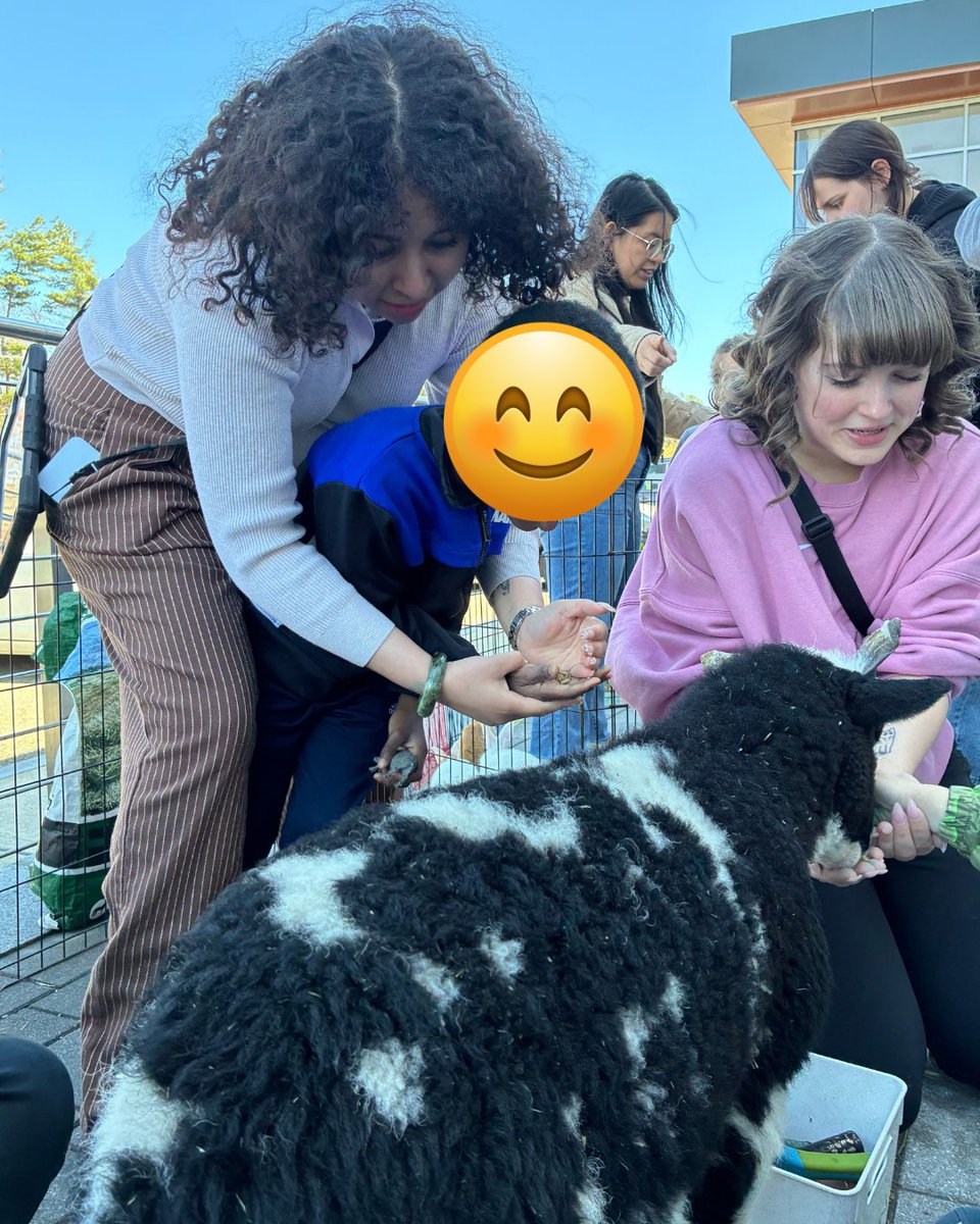 abinewengland's tweet photo. Our Bedford center had some very special visitors today A traveling petting zoo stopped by and brought so many smiles to our kiddos’ faces! 🐐🐰 https://t.co/ynP01QUVyL