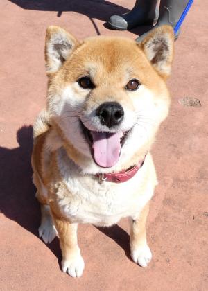 Resani Gabriel tweet media