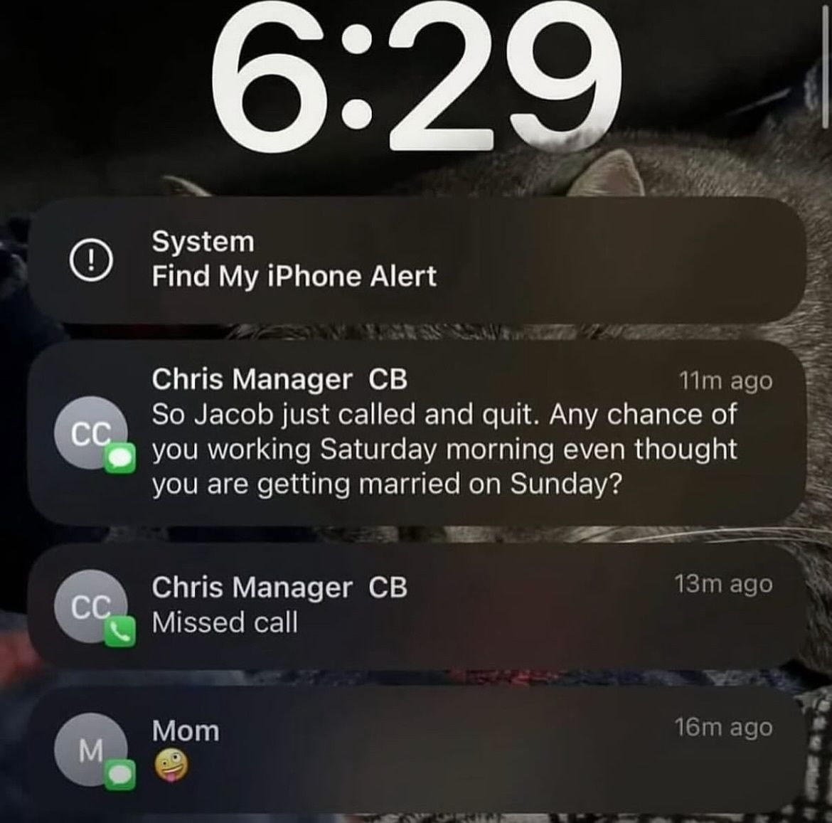 Braindead Bird App tweet media