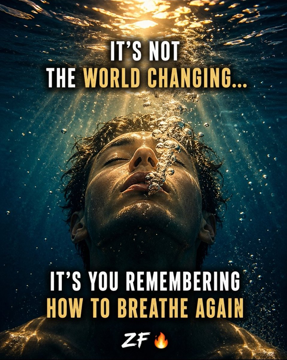 Zachary Fisher tweet media