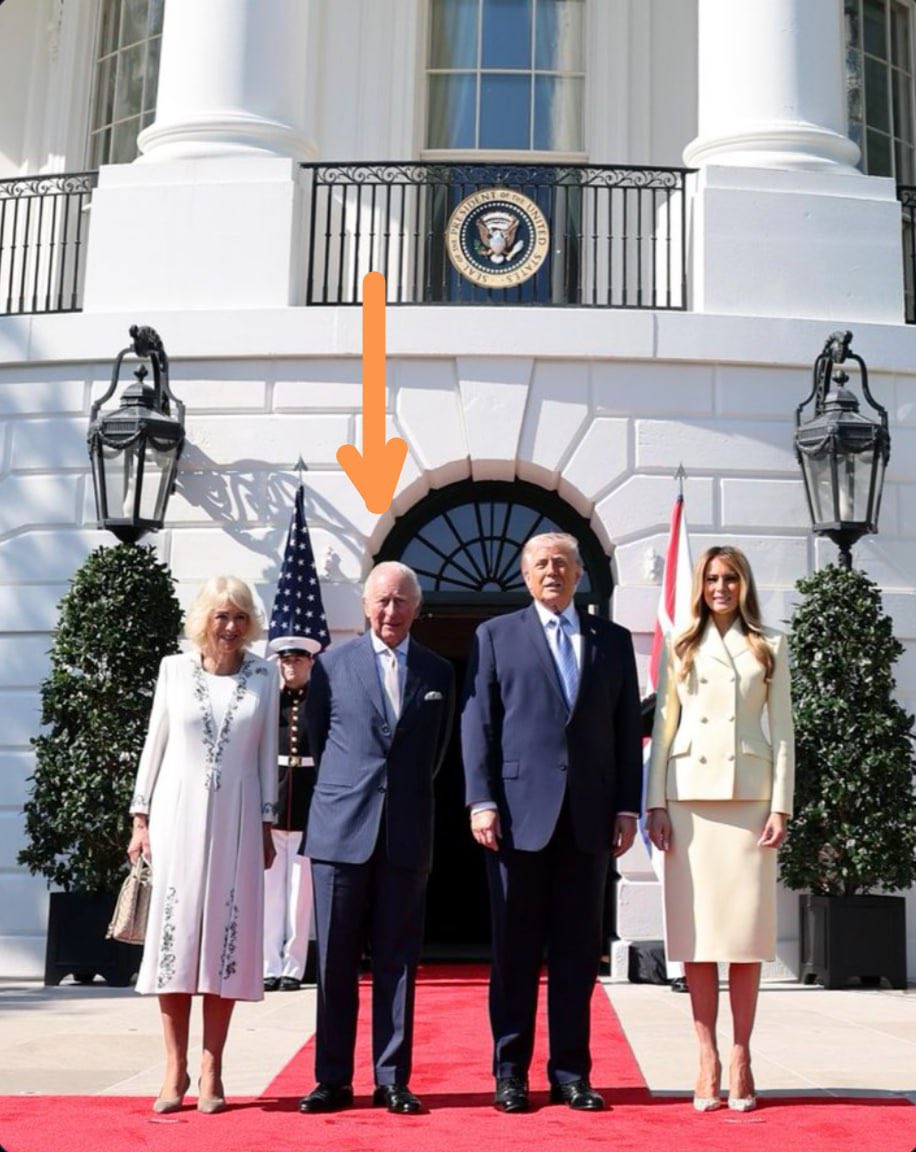 Florentin Patriota Q tweet media