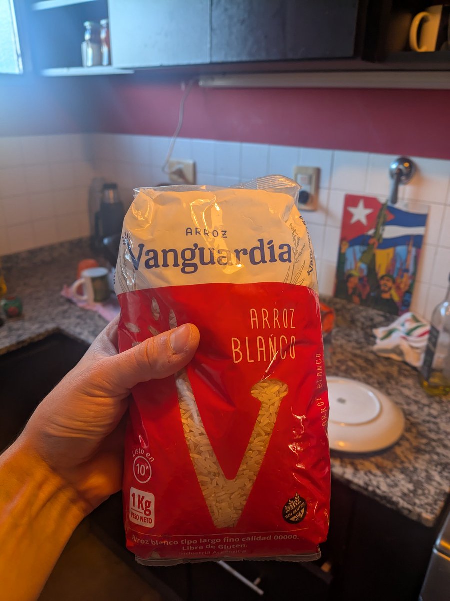 lpm por qué tengo tantas ganas de criticar las convenciones burguesas tradicionales sobre el arte hasta reunificarlo con la praxis vital si solo como arroz...