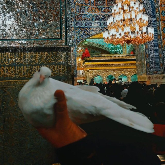 نازنینا! 
ما به ناز تو جوانی داده ایم...! 
#آقام_امام_رضا💚
#ایران_امام_رضا
#زیر_سایه_خورشید
۳۵