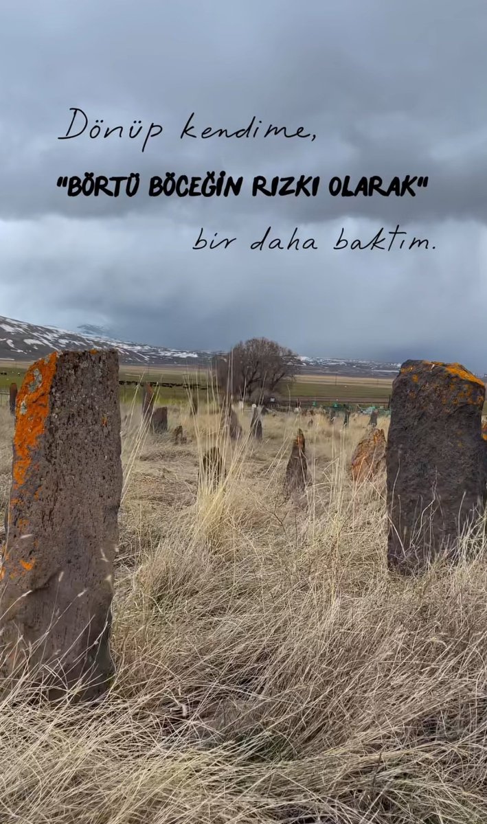 ayaserenat's tweet photo. 29 Nisan. https://t.co/Vd1p8WCbfy