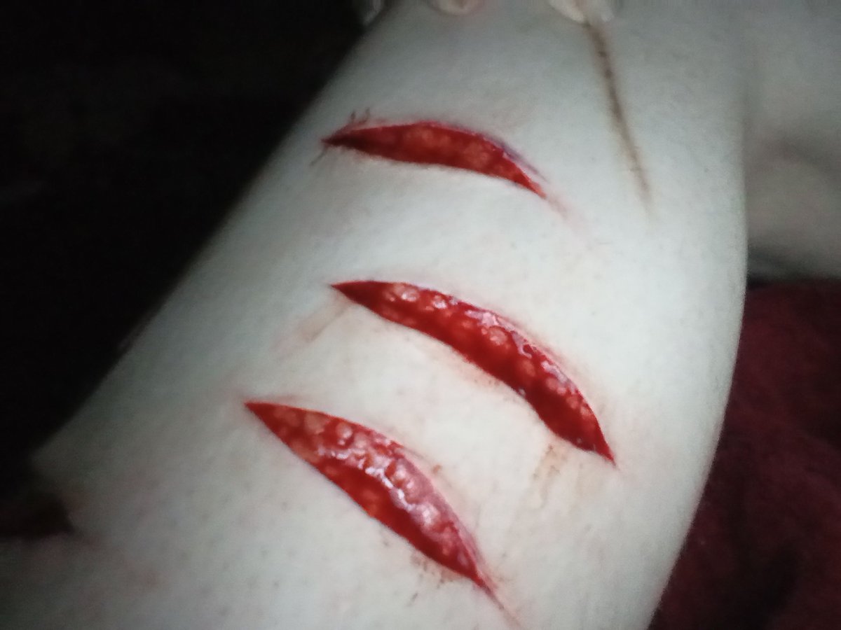 vinnie SHTWT tweet media