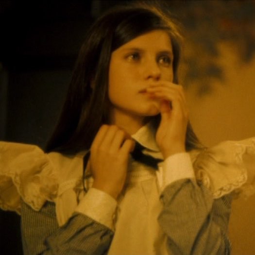 butch optimus prime tweet media